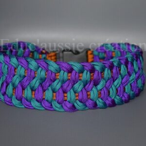 Collier pour chien de promenade modèle Koda violet turquoise 2