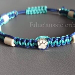 collier anti puce et tique pour chien bicolore création Educ'aussie