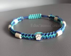 Collier anti puces et tiques pour chien bicolore bleu