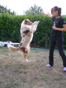 obérythmé initiation Educ'aussie